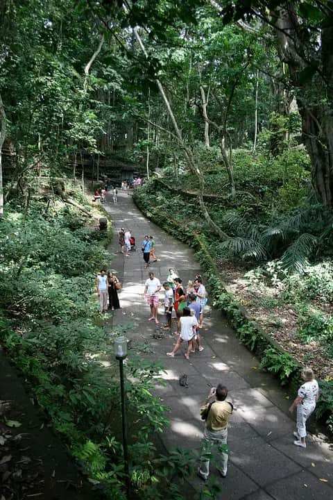 Sacred Monkey Forest Sanctuary