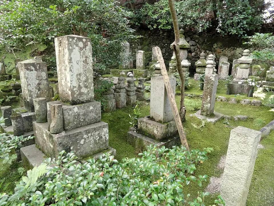 Gio-ji