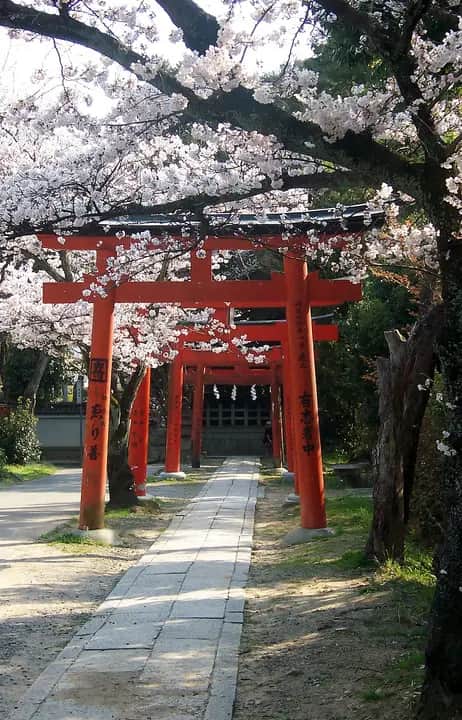 Yoshida Shrine