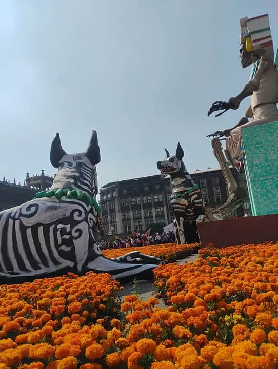 Zocalo Mega Ofrenda