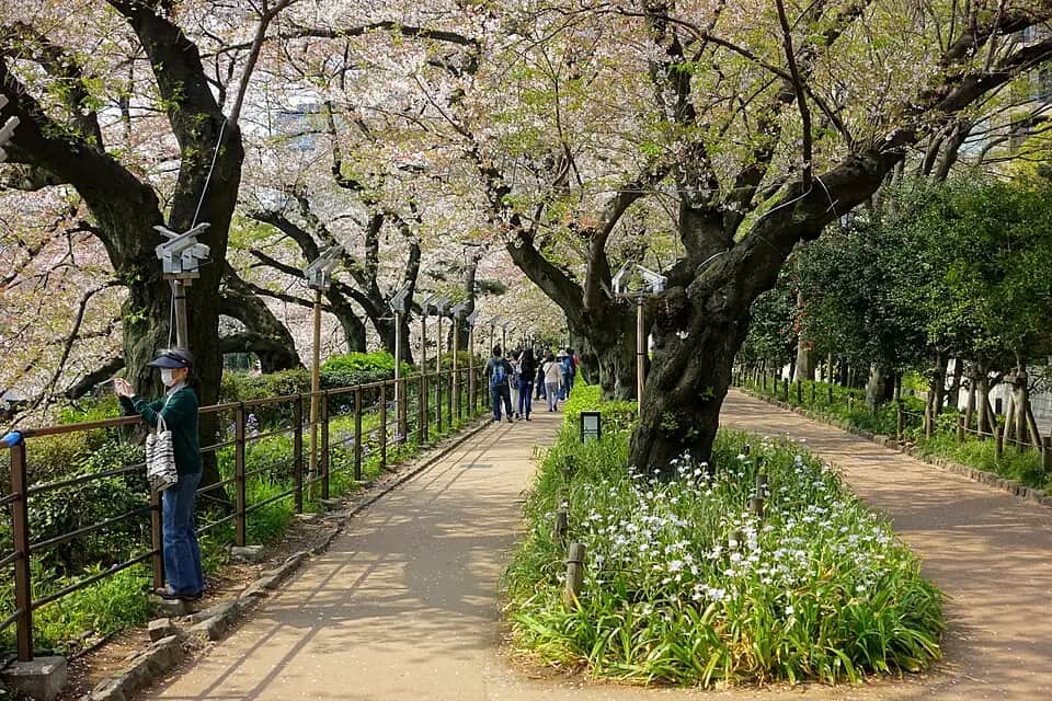 Chidorigafuchi